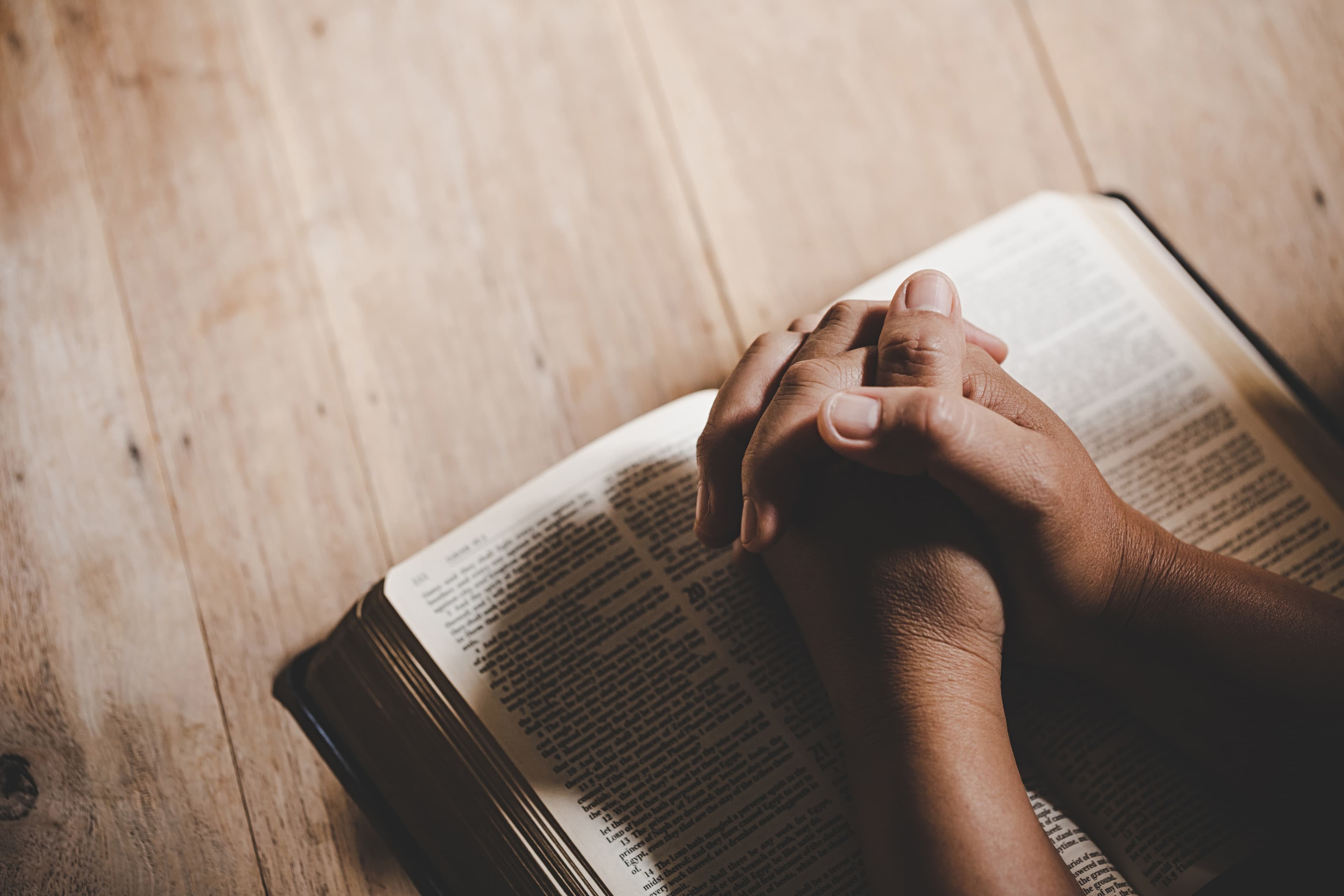 Bible study session